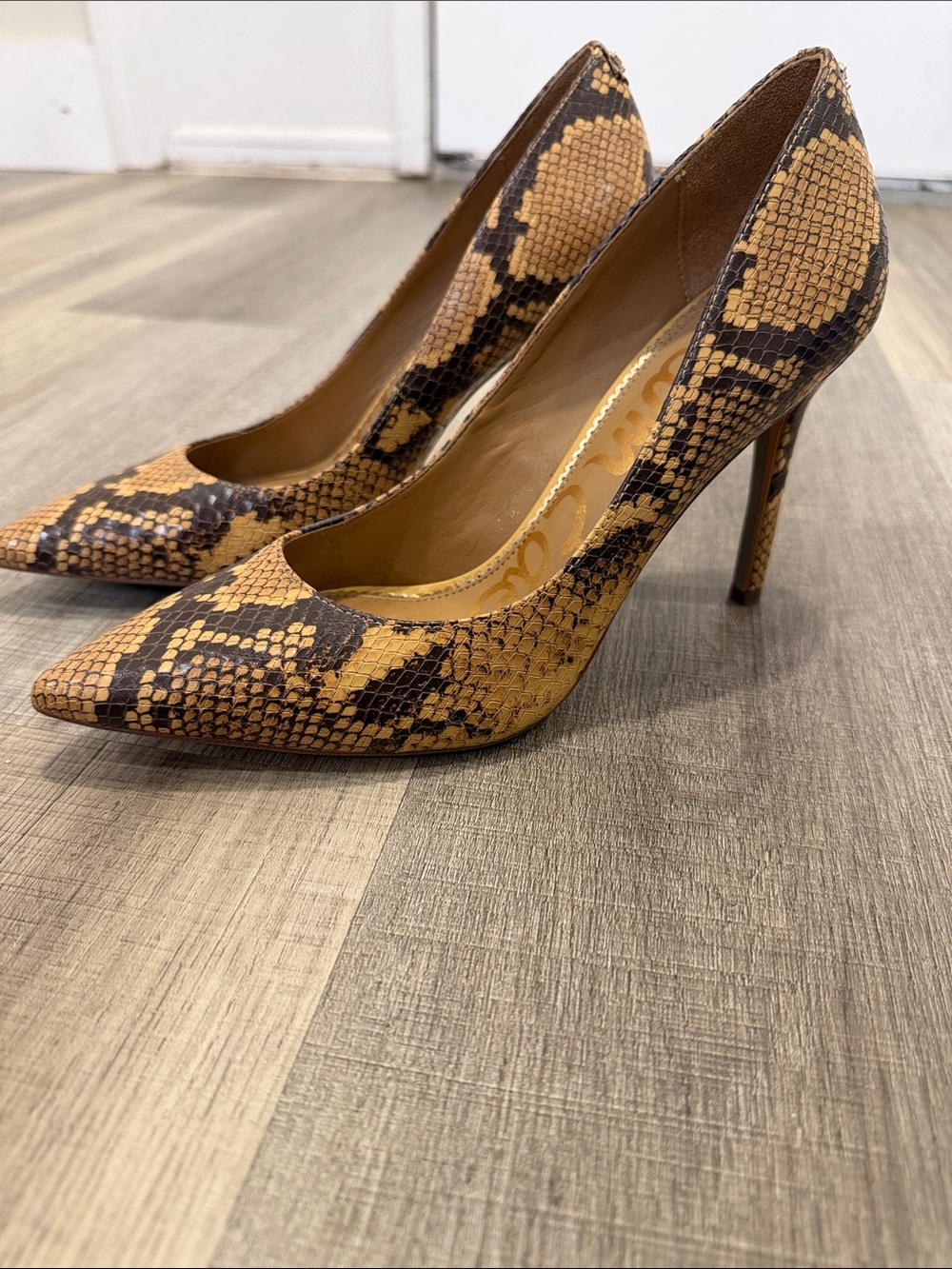 Sam Edelman Snake-Print Pointed Toe Stilettos in Tan and Brown